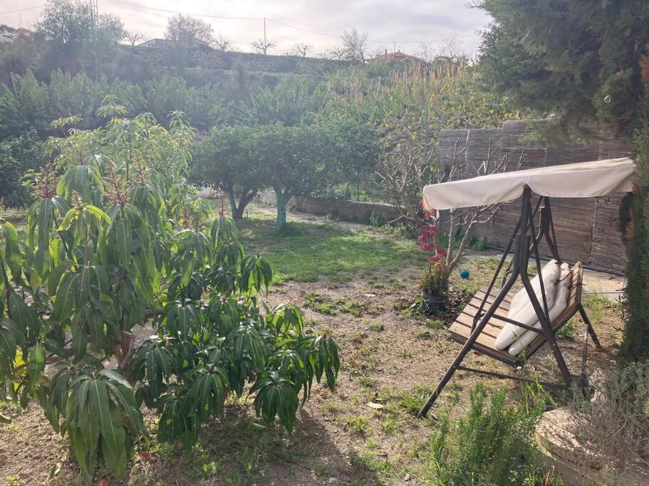 La Penita - Sunny Guesthouse With Private Pool And Garden Salobreña Buitenkant foto